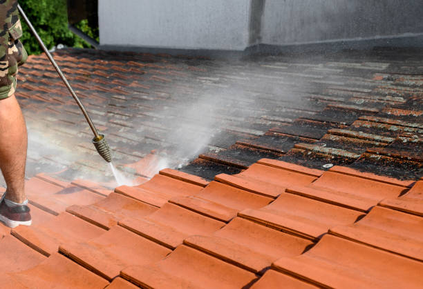 Best Pressure Washing Near Me  in Mingo Junction, OH